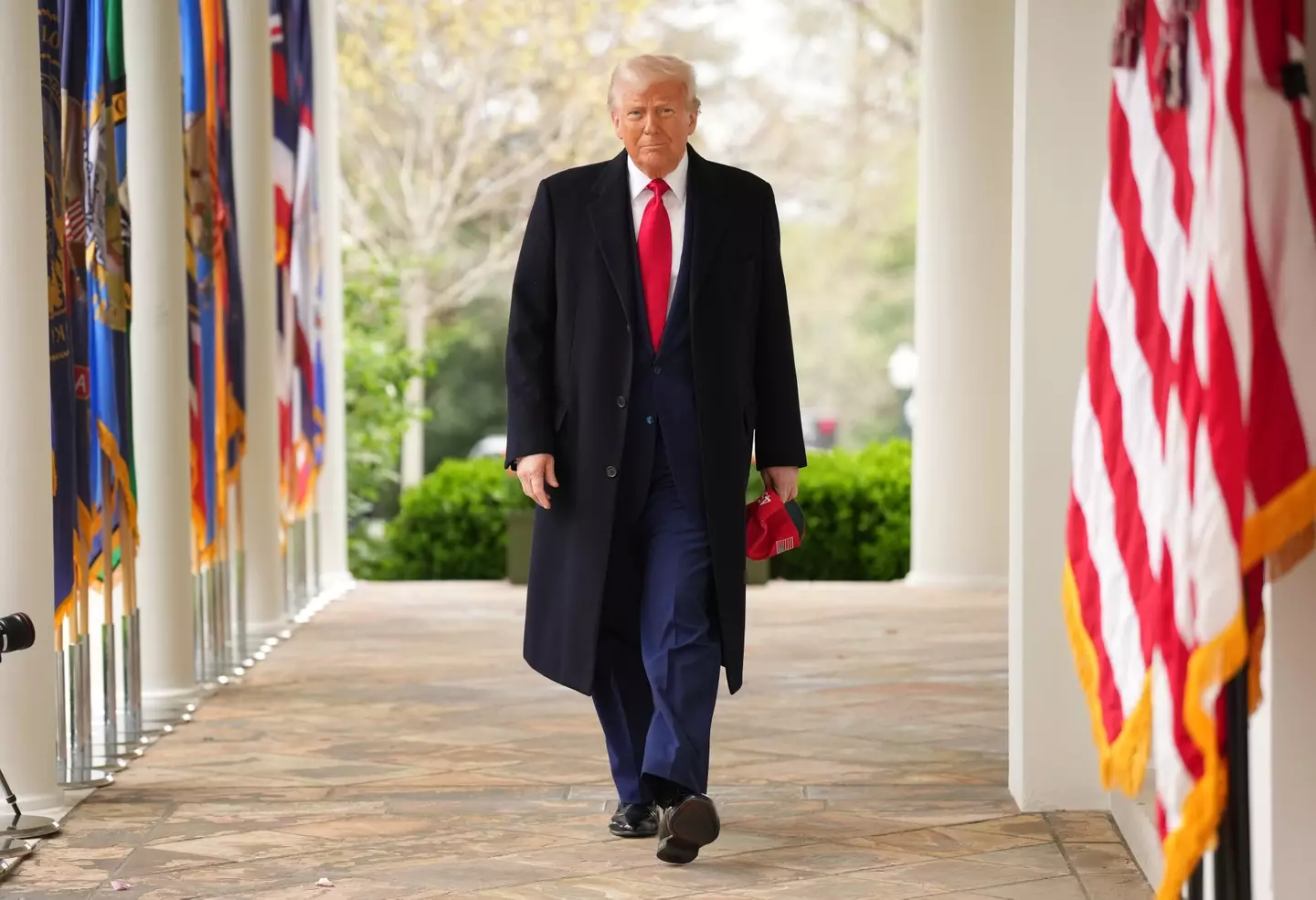Obama and Harris have both been speaking about Trump (Andrew Harnik/Getty Images)