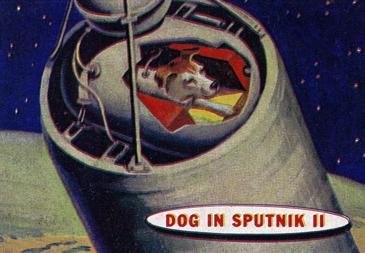 Despite Laika not surviving the journey, the mission was considered a win for the Soviet Union (Universal History Archive/Universal Images Group via Getty Images)