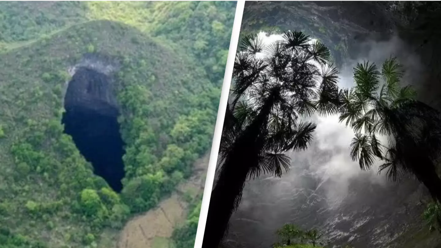 Huge ancient forest world discovered 630 feet down sinkhole in China