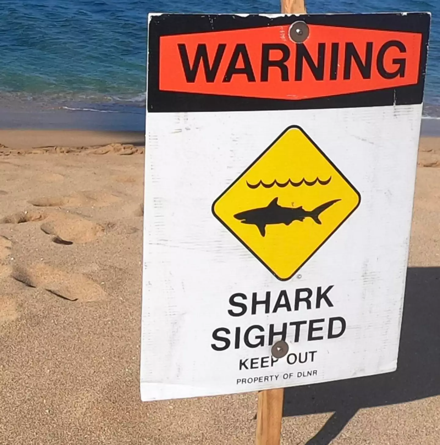 Signs are on display to warn beachgoers.