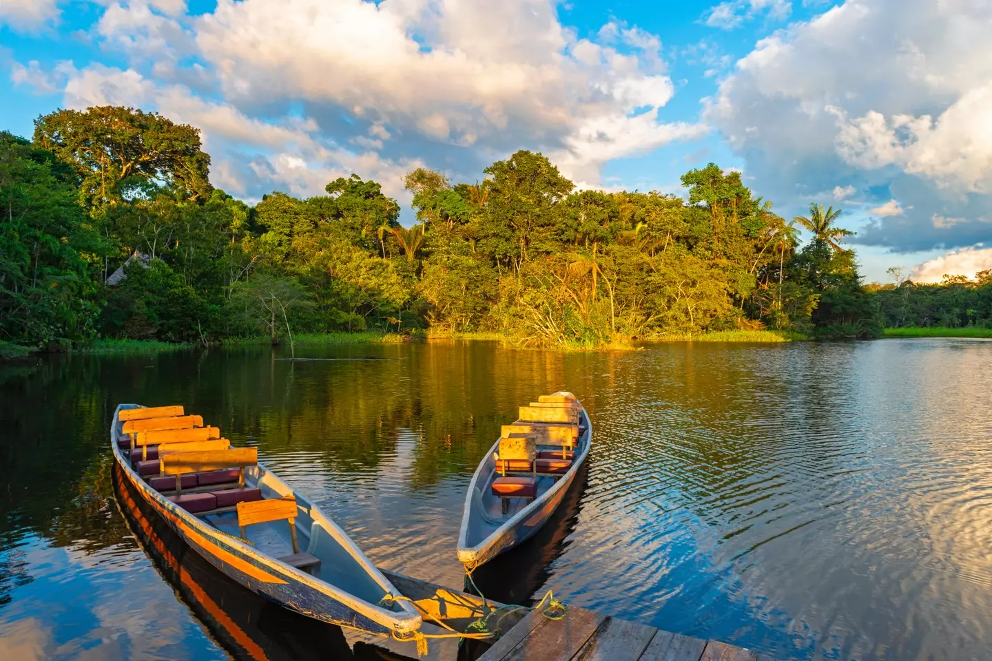 Boats can be used to cross the Amazon river.