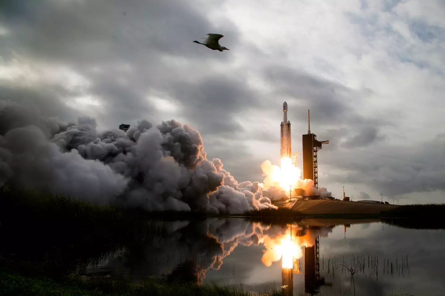 The Psyche satellite was launched last year by NASA. (Aubrey Gemignani/NASA via Getty Images)