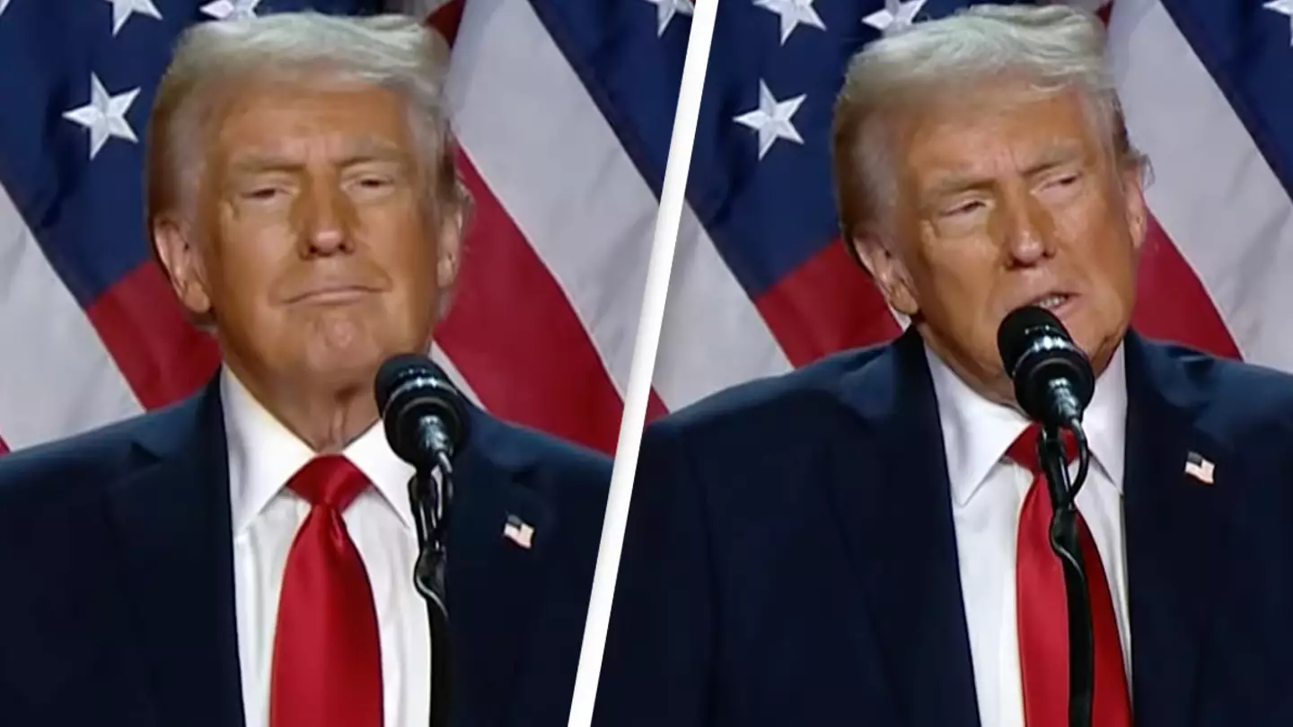 Donald Trump declares victory as he addresses crowd of supporters