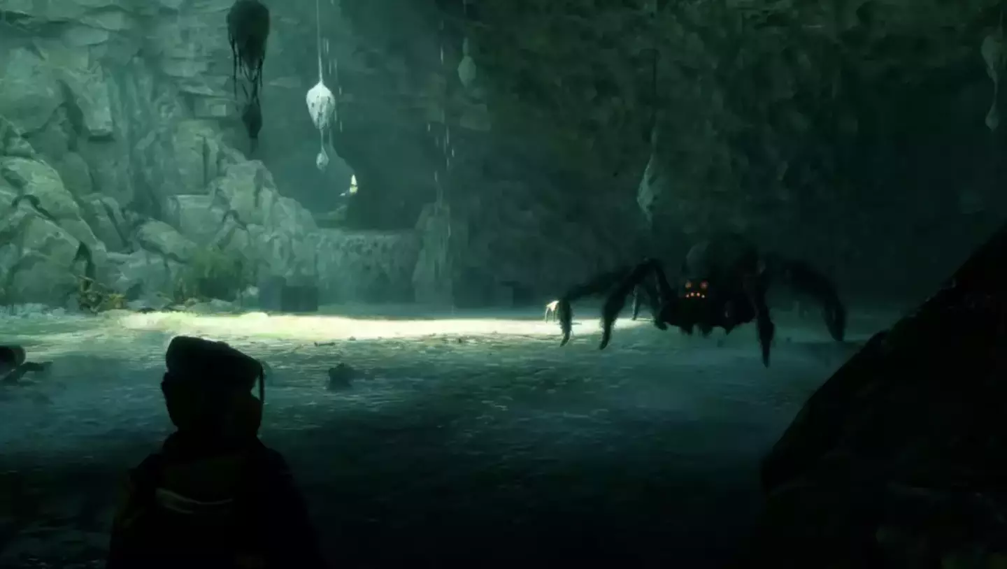 The spiders will be a thing of the past for those wishing to use the accessibility option.