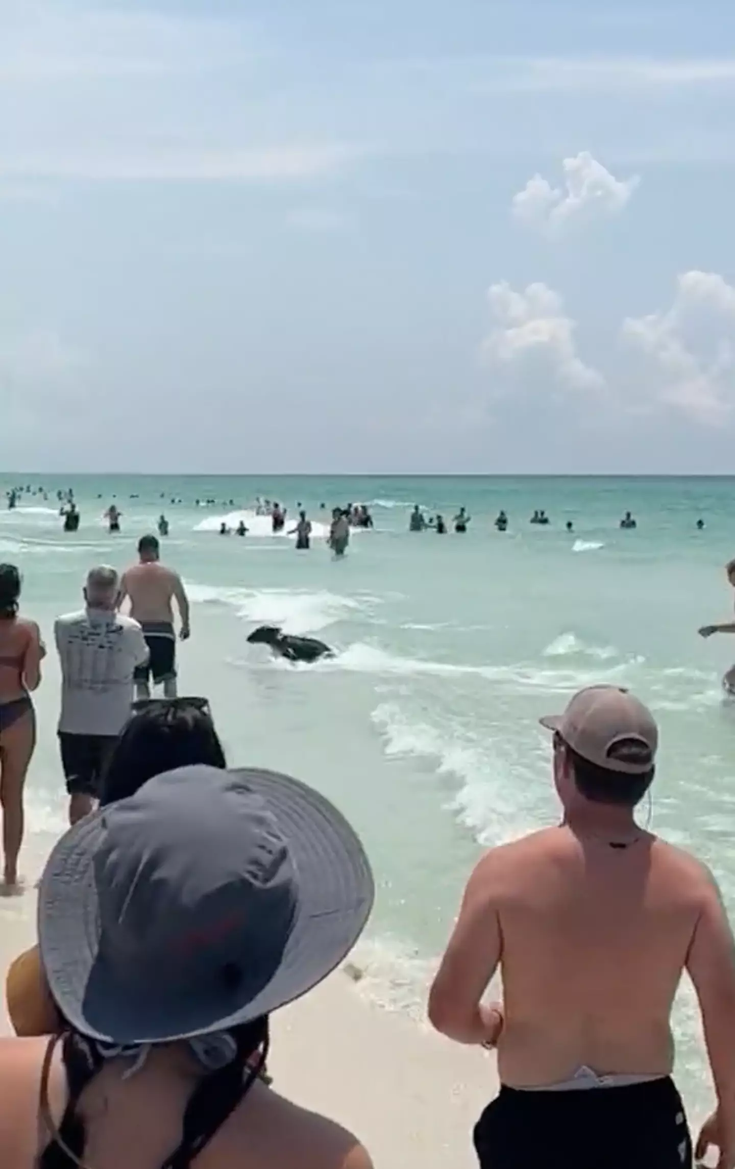 Onlookers were shocked.