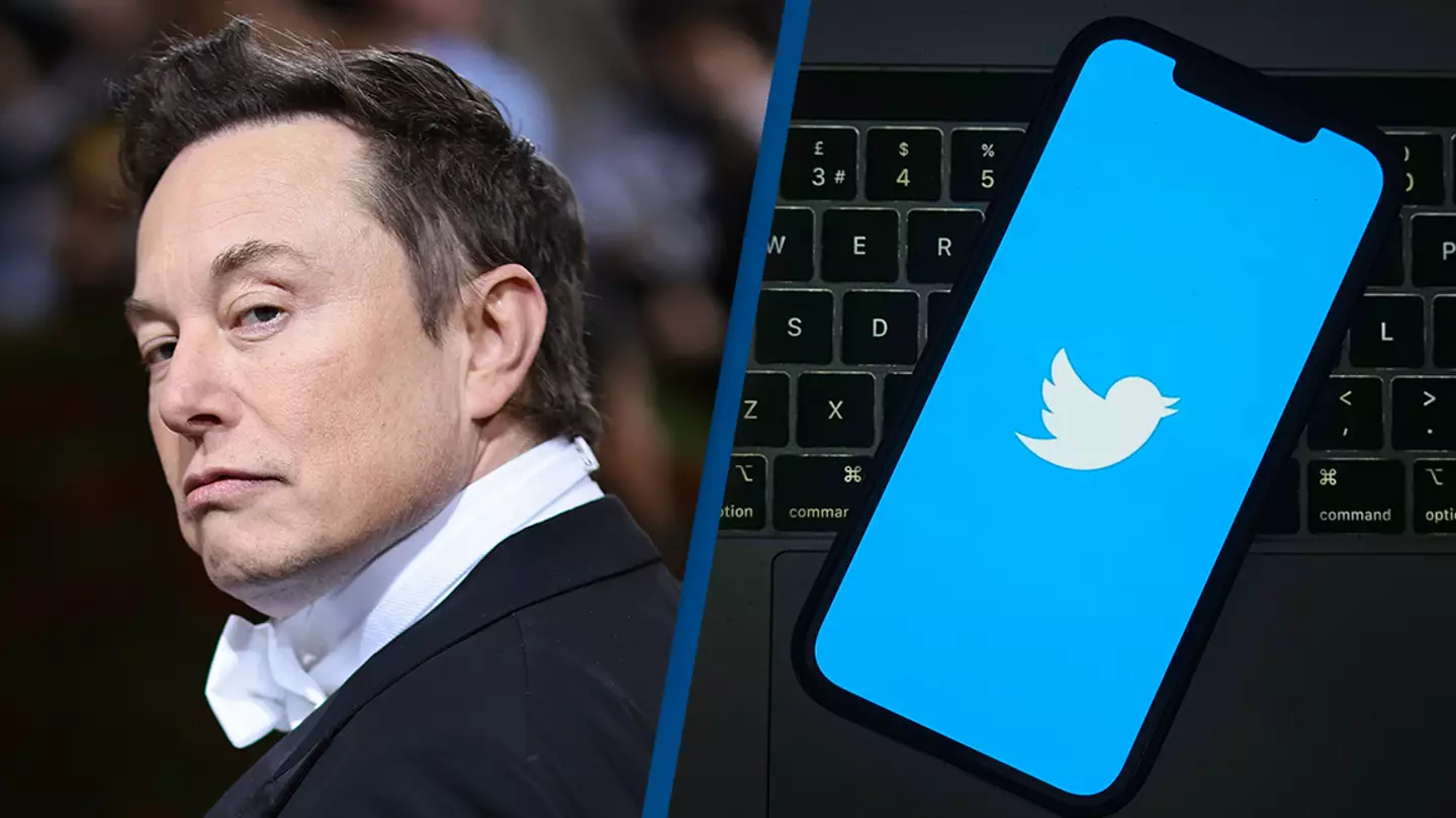 Elon Musk is considering making everyone pay to use Twitter