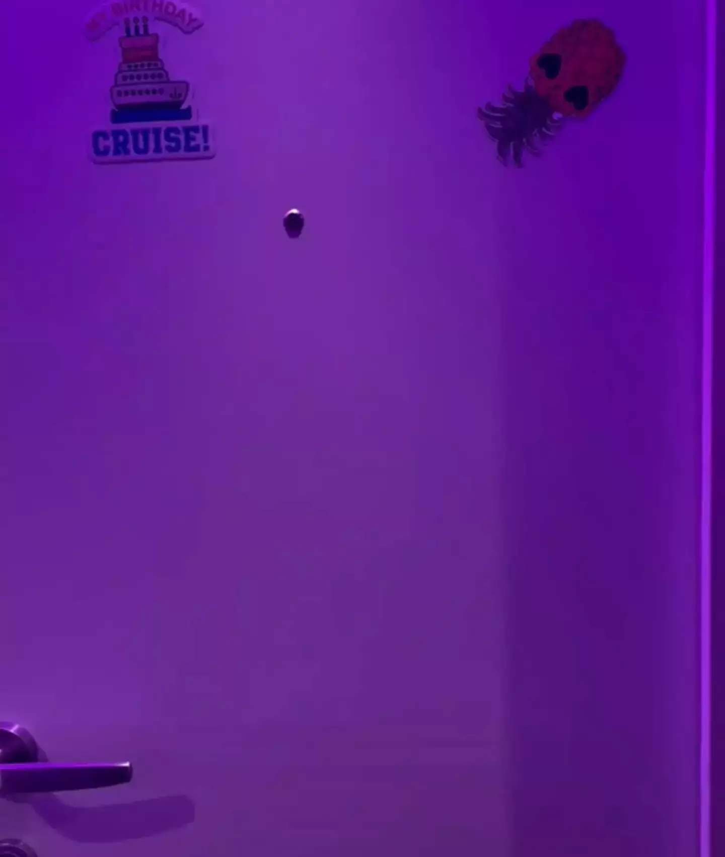 Users came out in their droves to debate the video. (TikTok/@blogionistatravels)