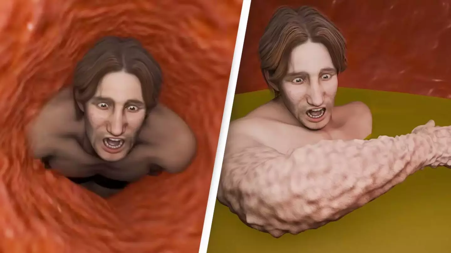 Horrifying simulation shows what happens to your body if you are swallowed by a whale