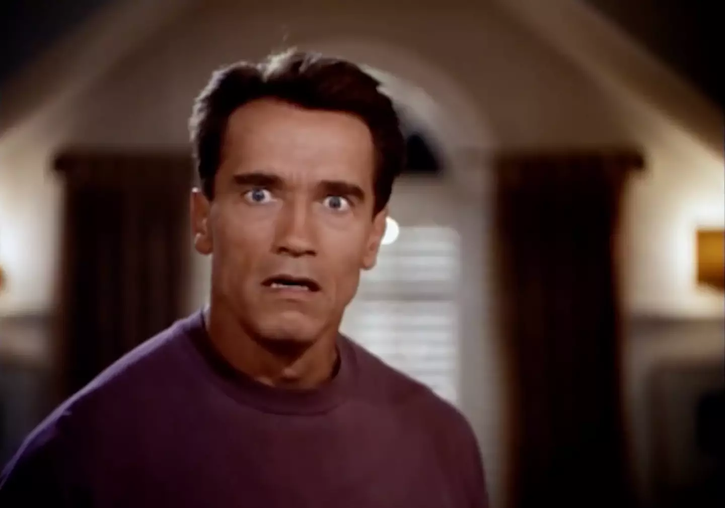 Arnold Schwarzenegger in Jingle All the Way.