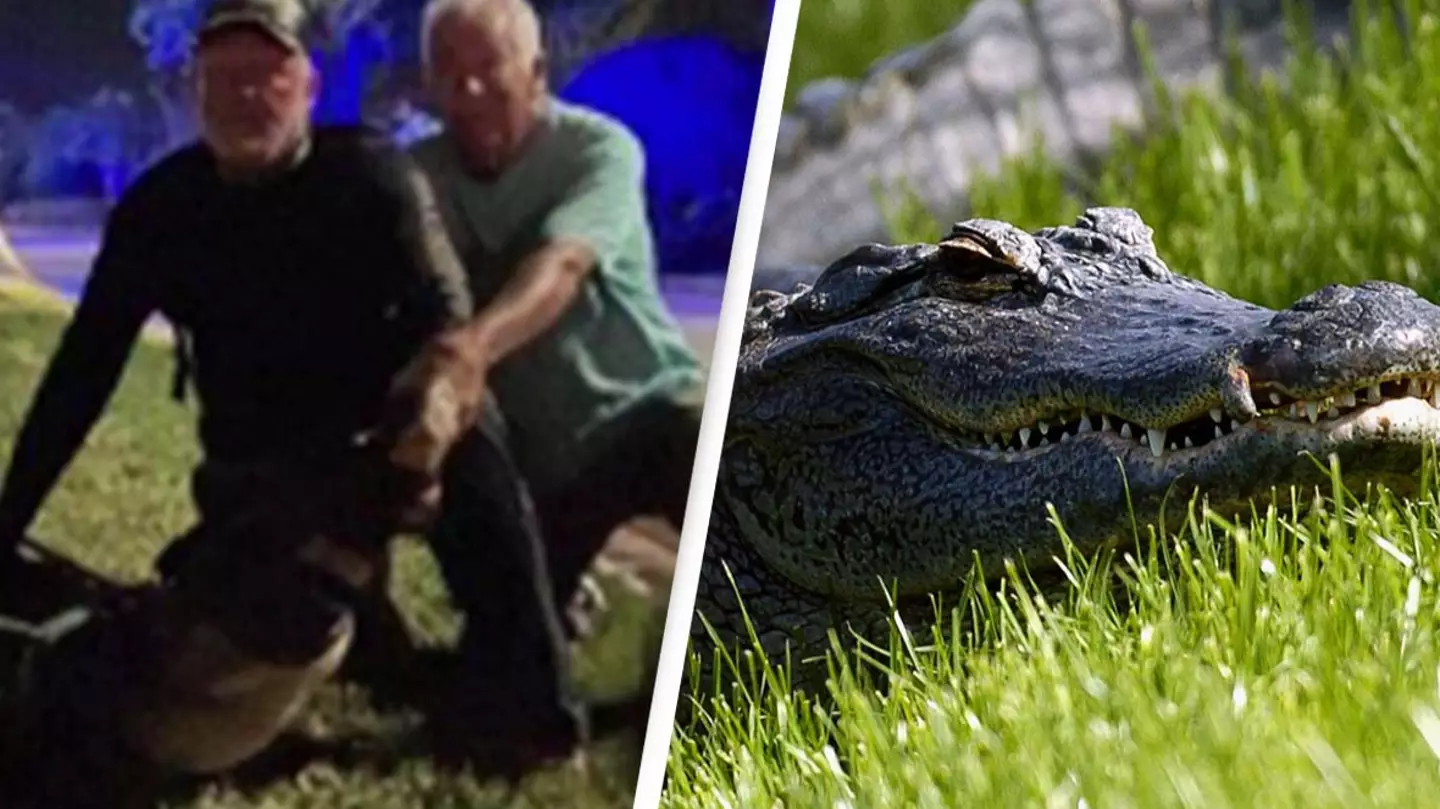 Man attacked and dragged to pond by 11ft alligator survives thanks to neighbor's quick thinking