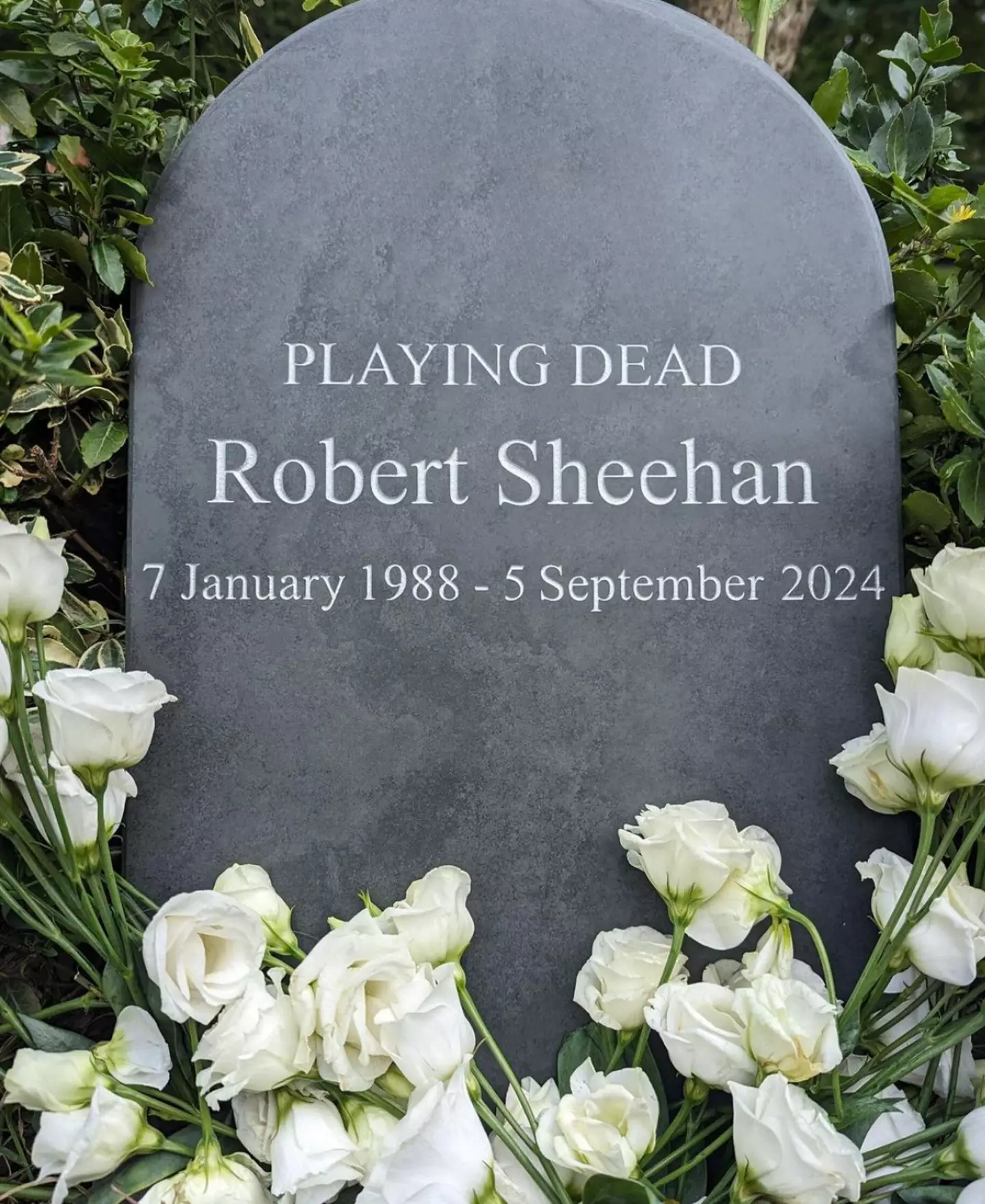 The post from Sheehan. (Instagram)