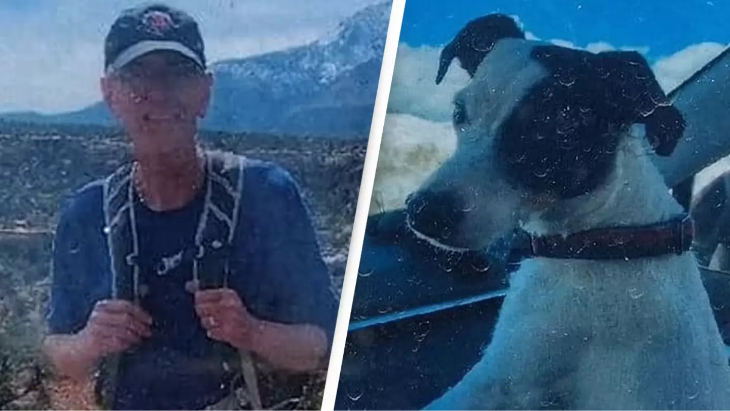 Missing hikers body found 2 months after disappearance with surviving dog at his side