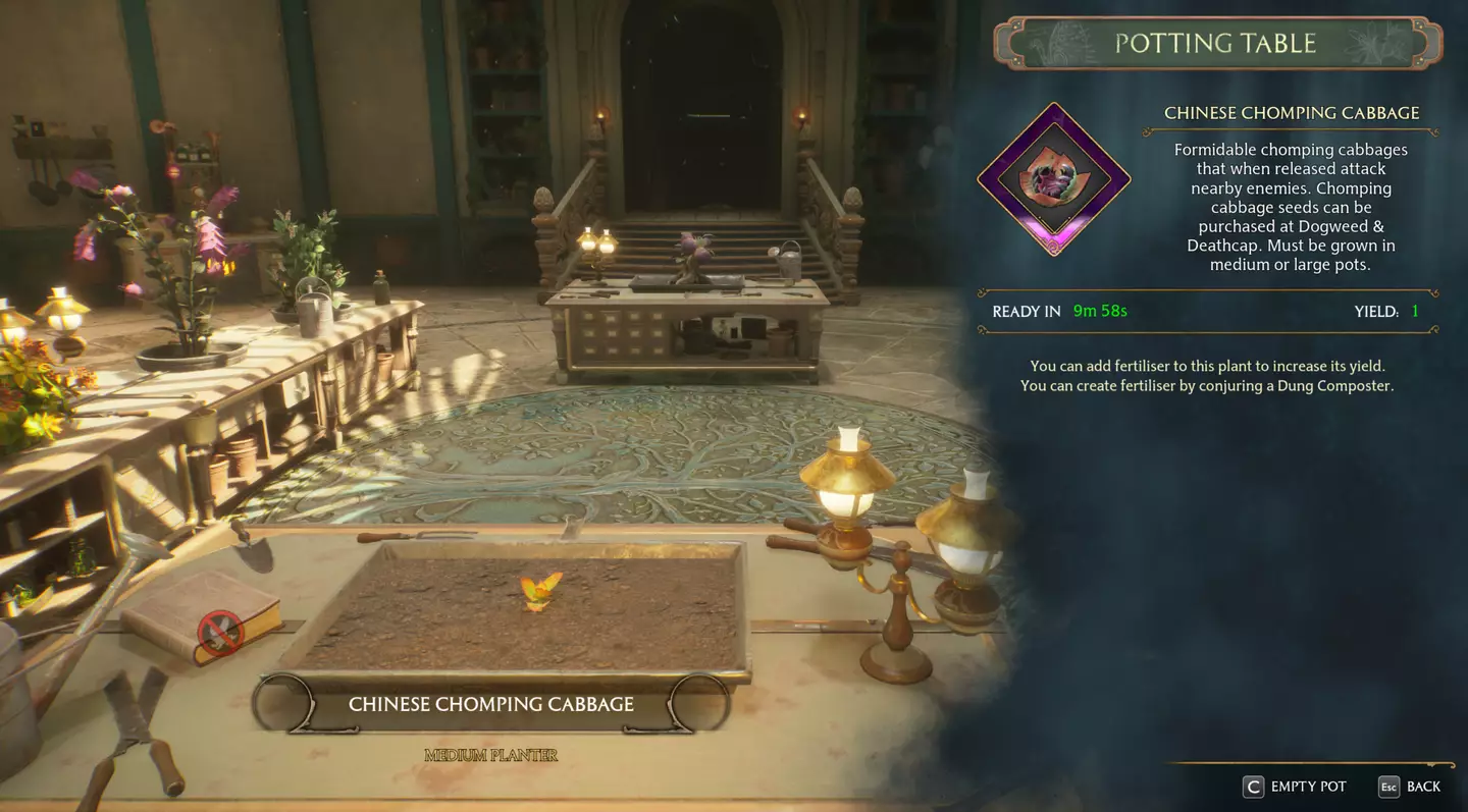 You could grow your own Chinese Chomping Cabbages.