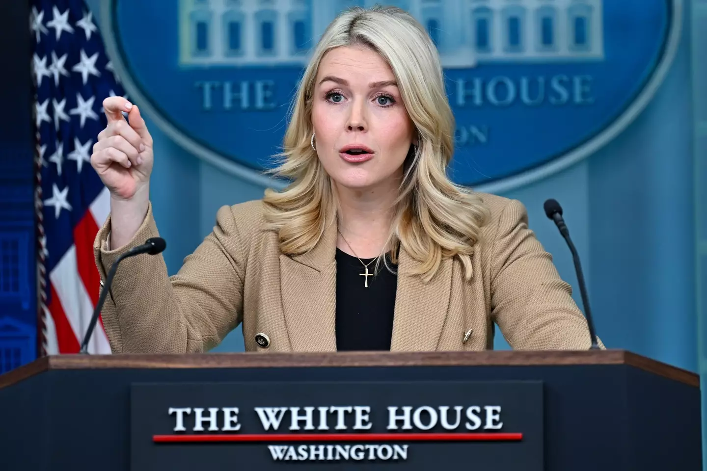 Leavitt attacked the reporter for questioning ICE's actions in Minneapolis (Graeme Sloan/Bloomberg via Getty Images)