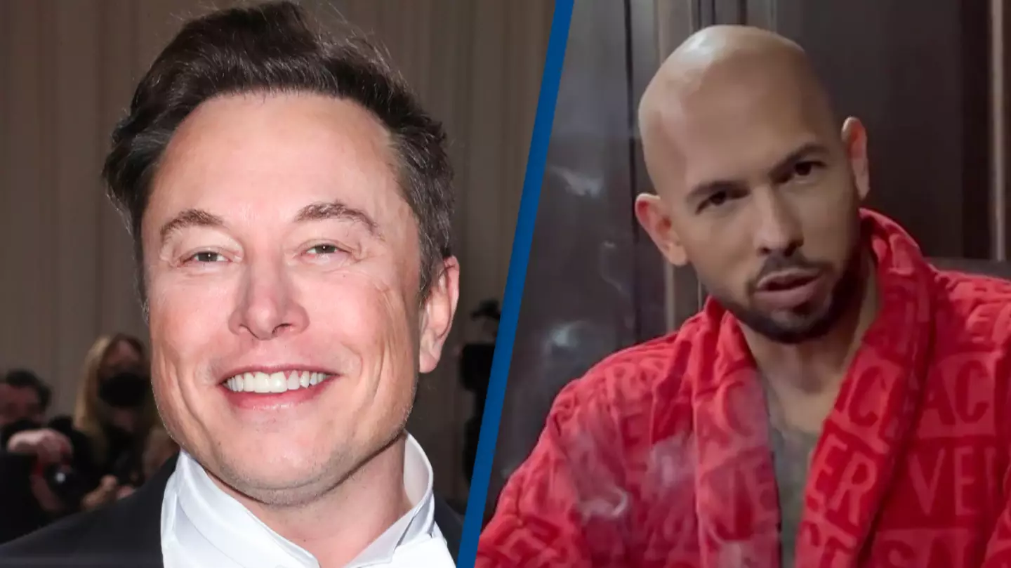 Elon Musk becomes latest person to troll Andrew Tate