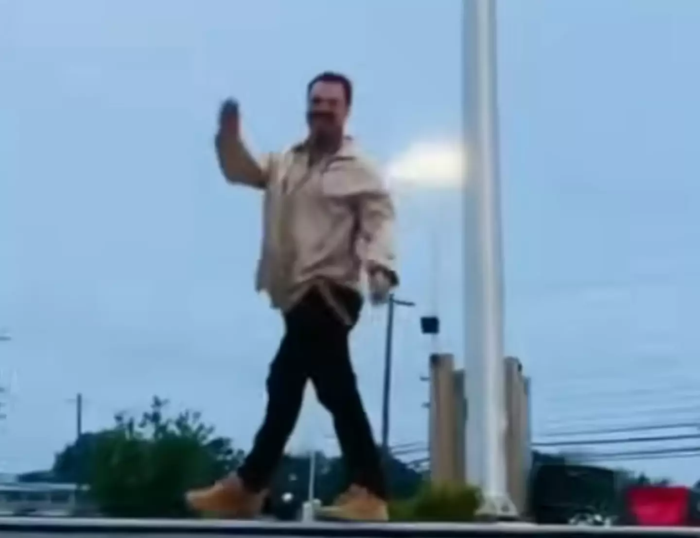 Fans are excited by how happy Margera looks.