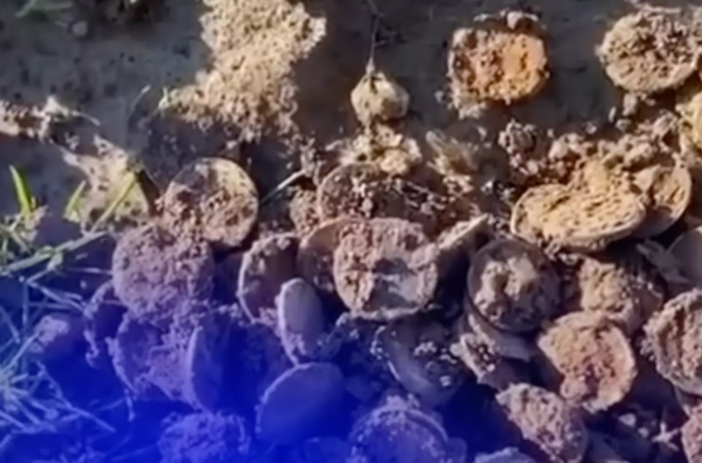 The coins have an important historical significance.