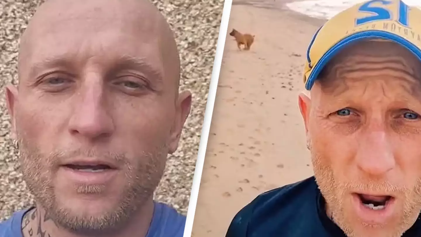 TikTok/@boerboelblade3