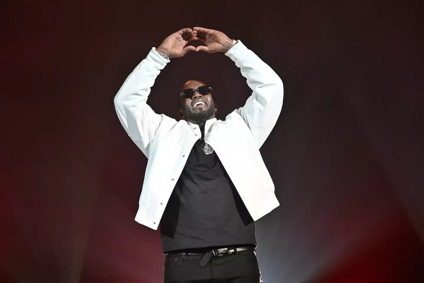Diddy has been charged with racketeering and sex trafficking by force, fraud or coercion (Samir Hussein/Getty Images for Sean Diddy Combs)