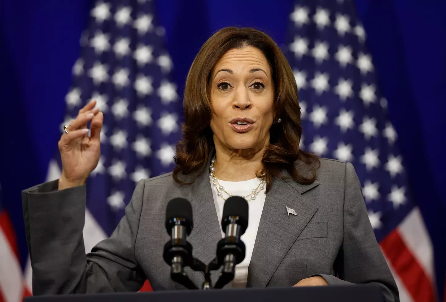 Vice-President Kamala Harris is an obvious choice to replace Biden. (Kevin Dietsch/Getty Images)