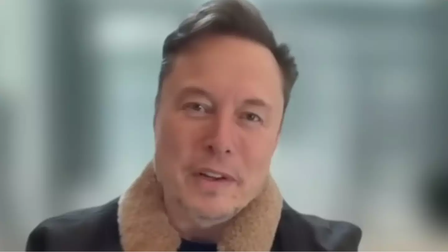 LiveNOW from FOX/YouTube