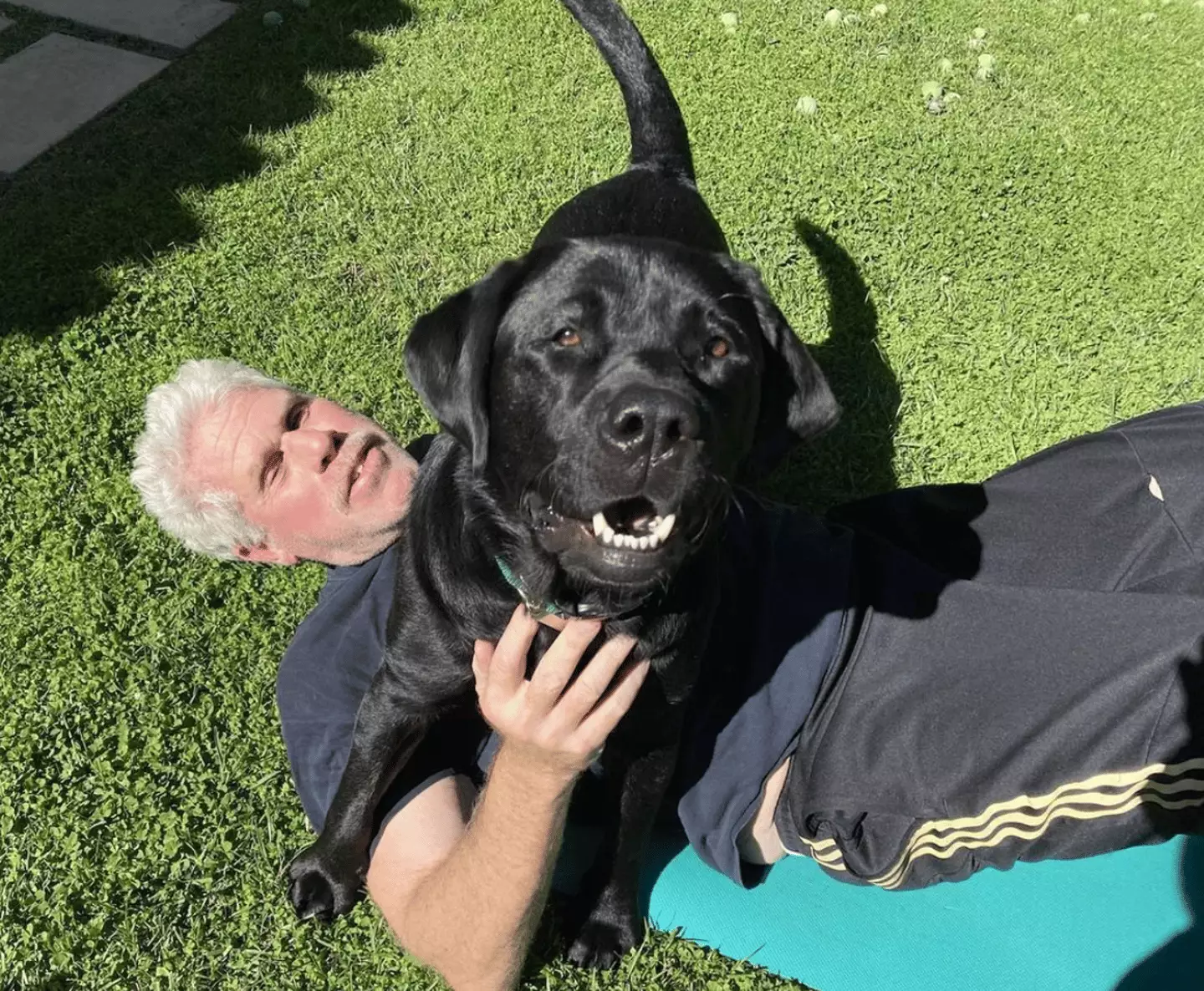 Ron Perlman with his rescue pooch Harrington.