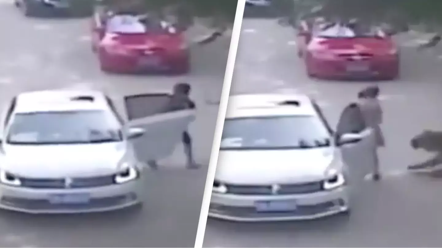 Horrifying last moments of mom eaten alive by tiger while trying to save daughter who’d been dragged away