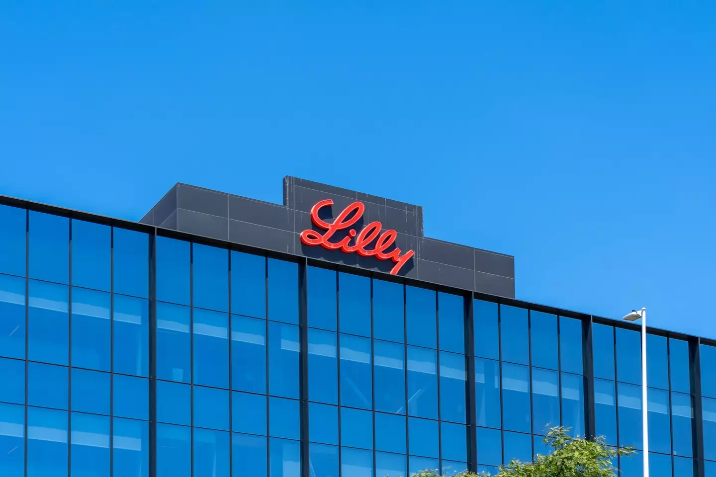 Eli Lilly appears to be optimistic about the benefits of GLP-3 drugs (Getty Stock Image)