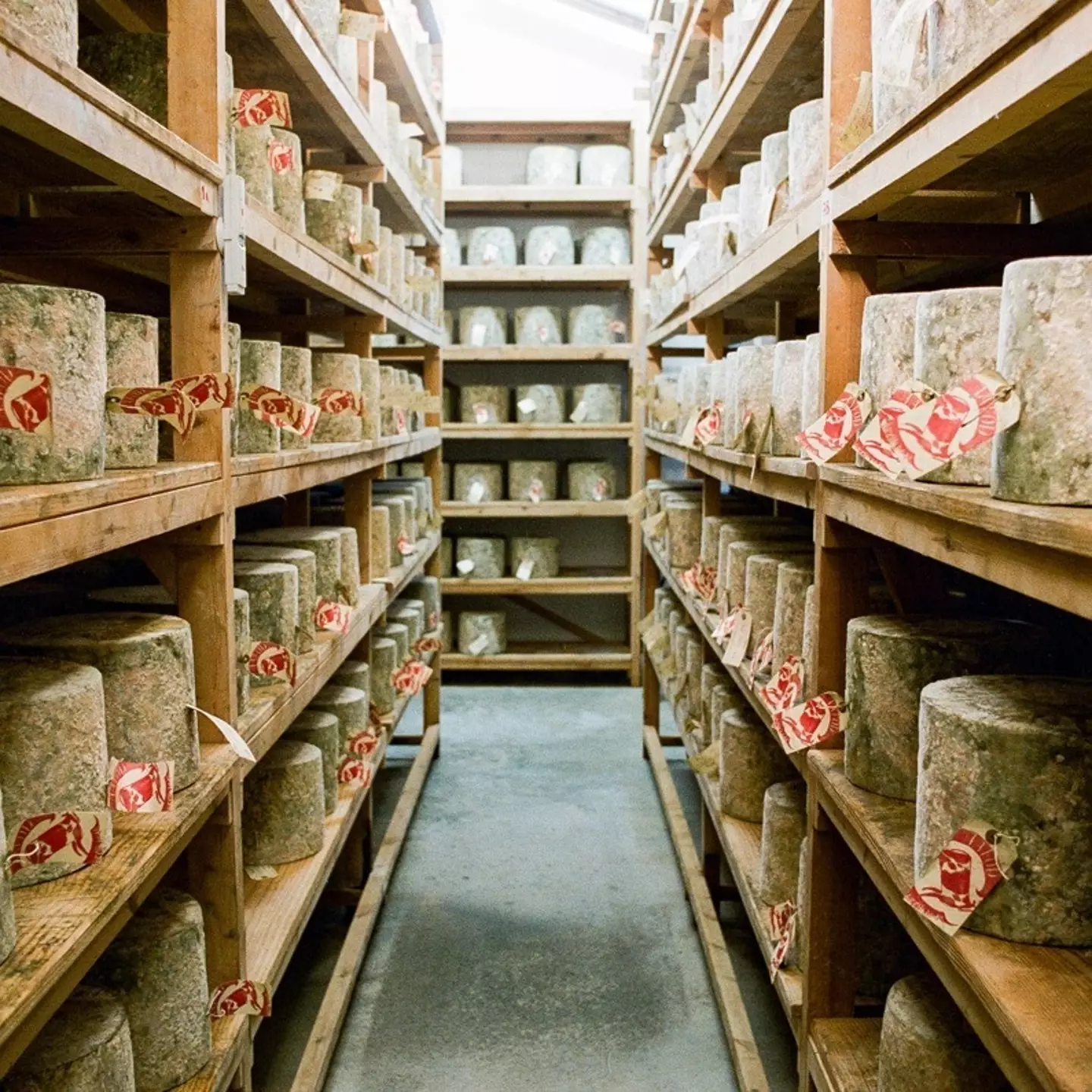 22 tons of cheese - more than 950 wheels - have been stolen (@nealsyarddairy/Instagram)