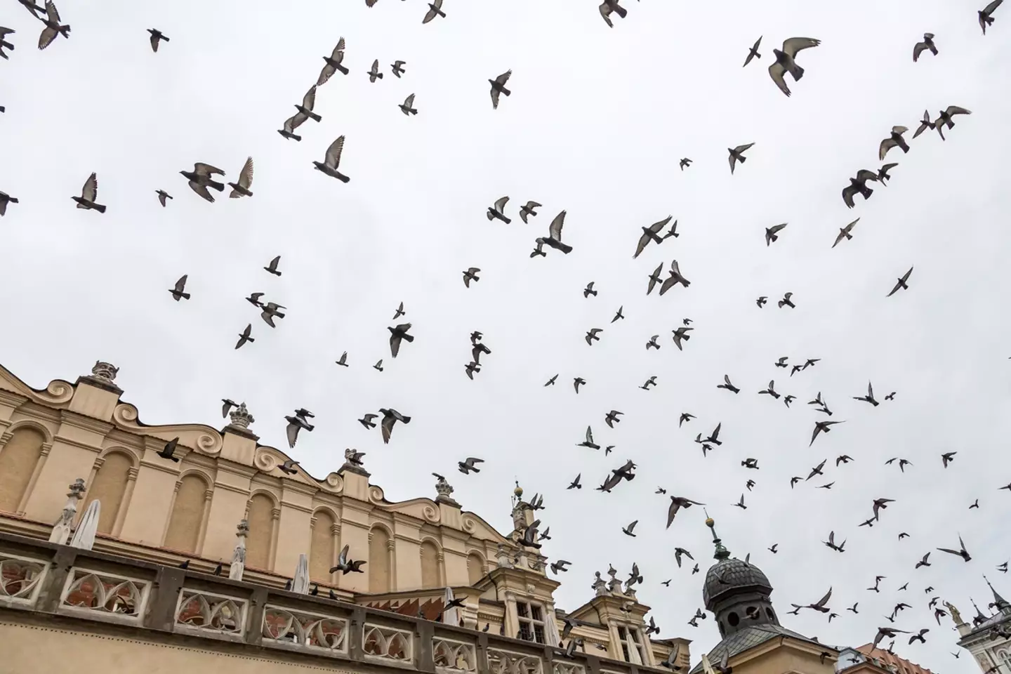 The eerie event has a surprisingly simple explanation.