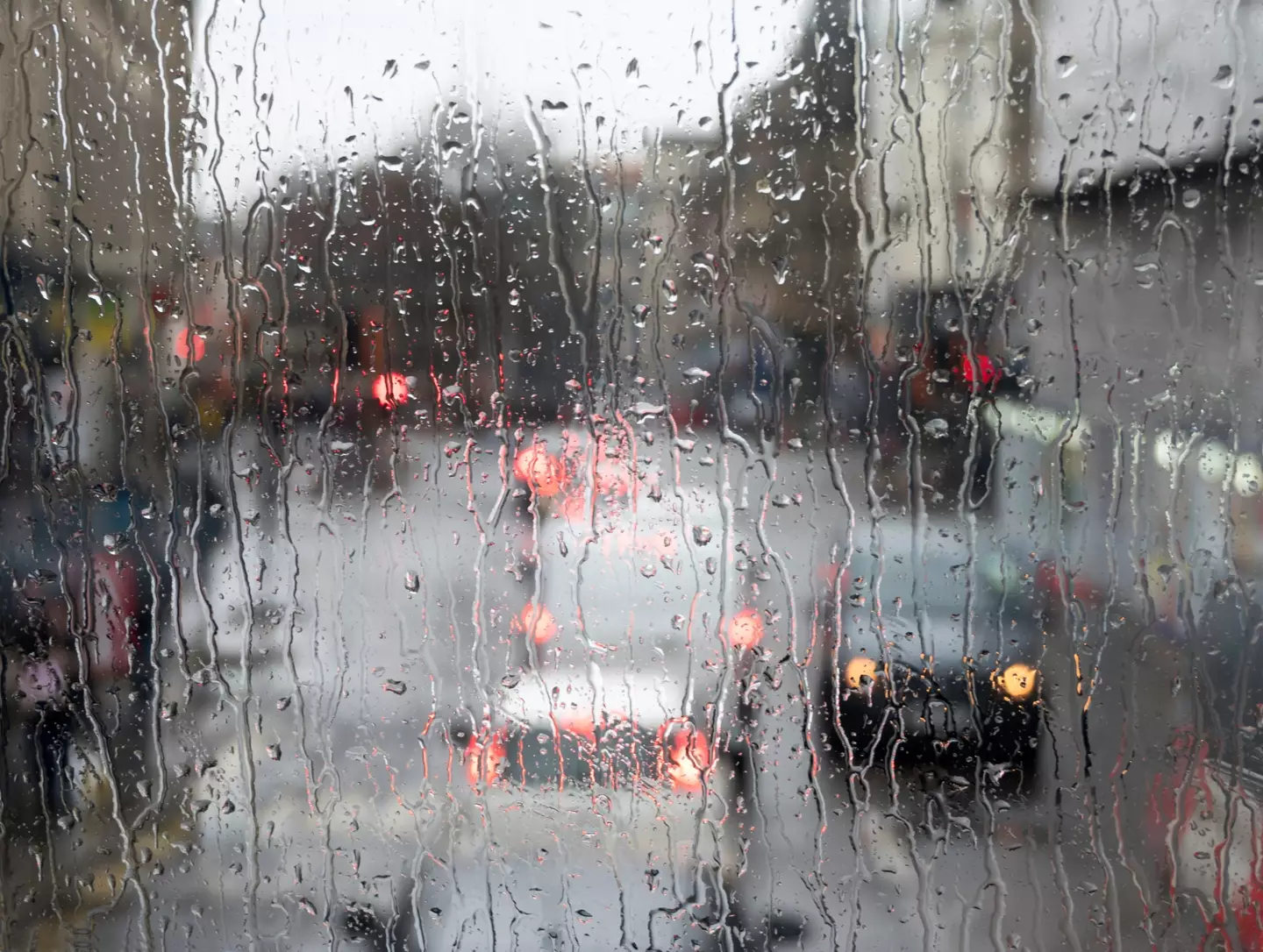 The scent of rain is produced by a couple of different chemicals.