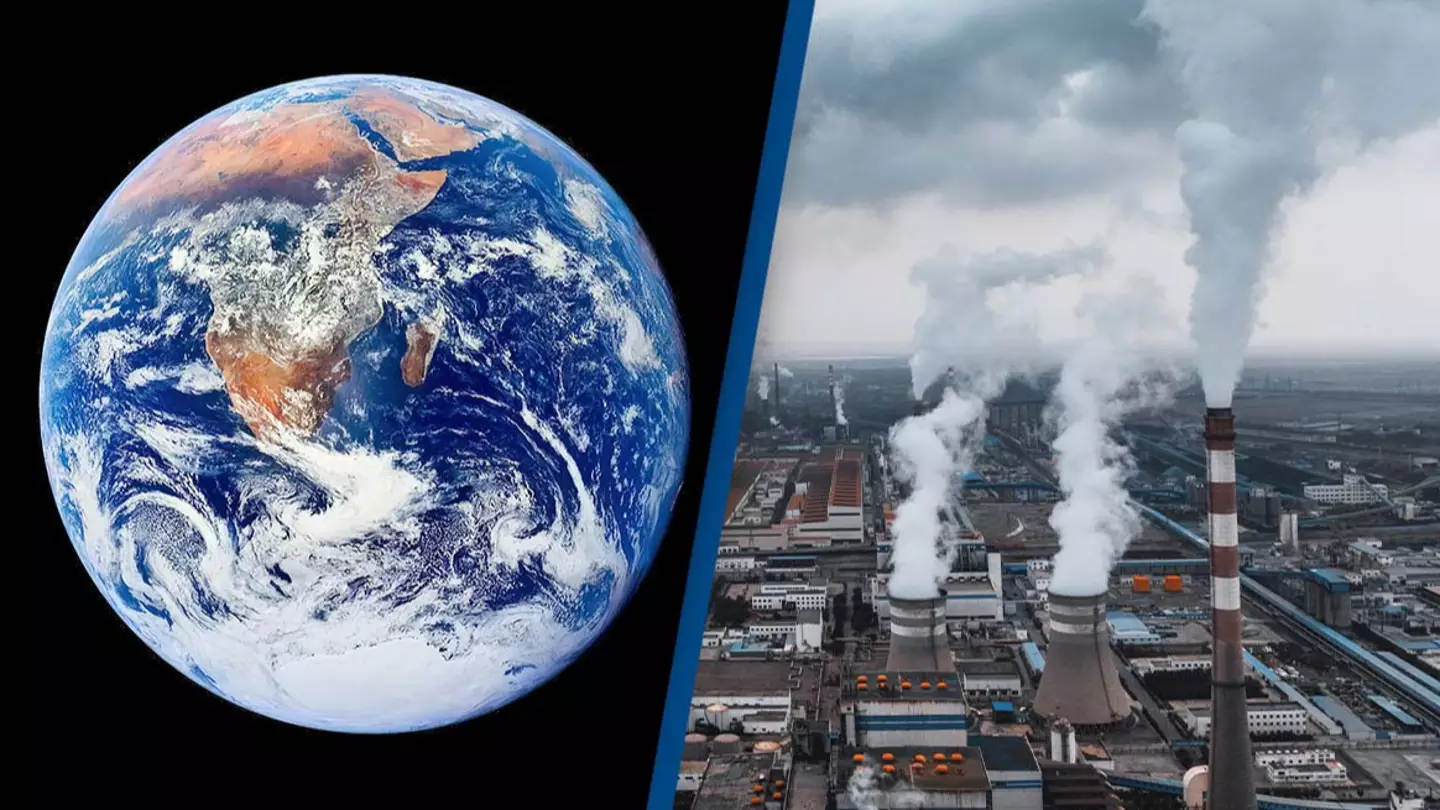Scientists issue terrifying warning about Earth's future after discovering trees and land absorbed almost no CO2 last year