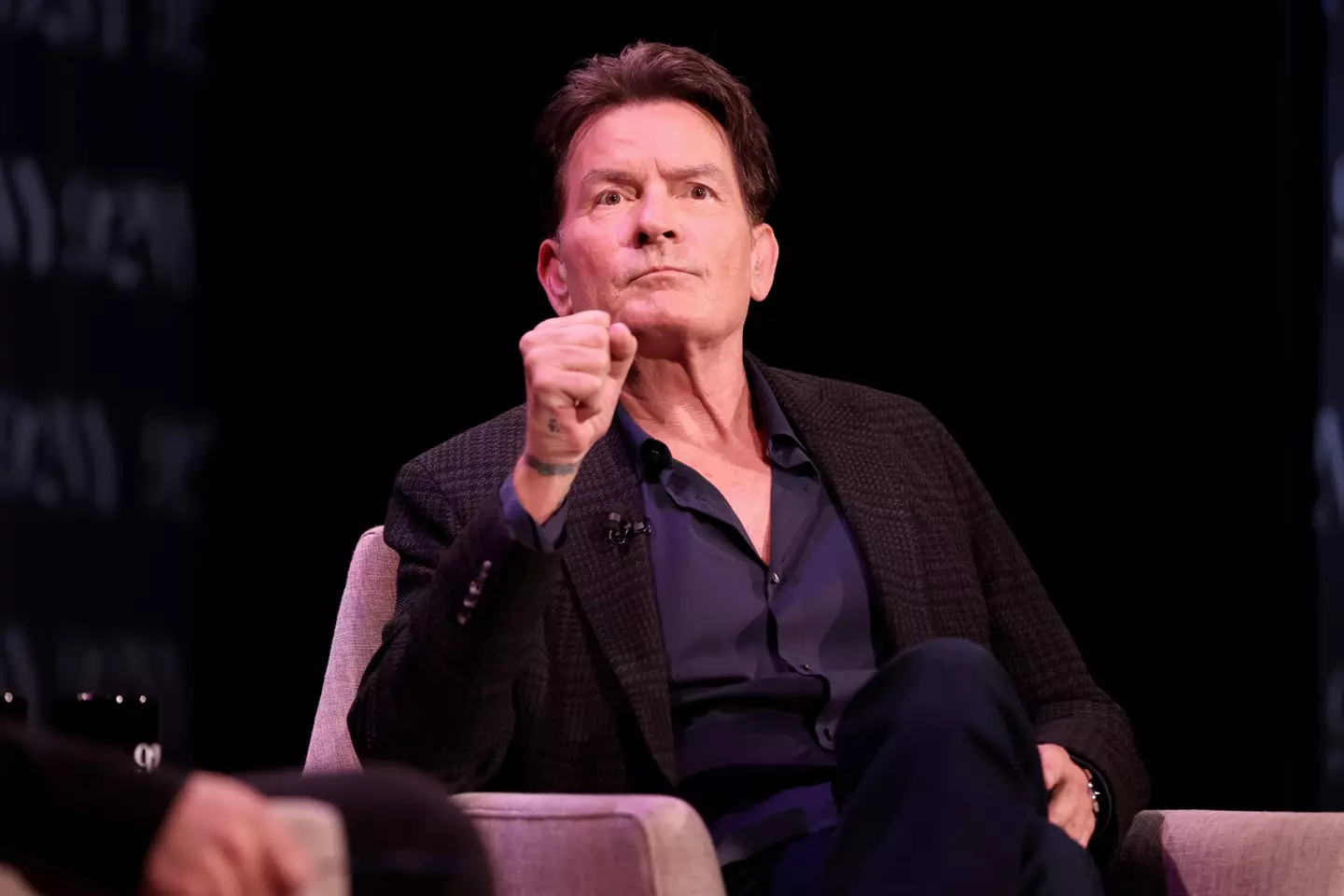 Charlie Sheen hasn't spoken to his daughter for a year (Dominik Bindl/Getty Images)