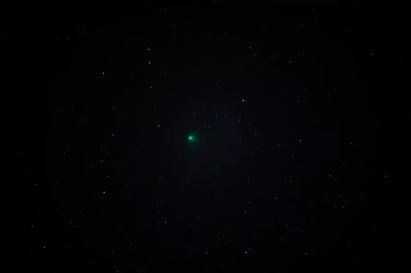 Will you be on the lookout for the comet?