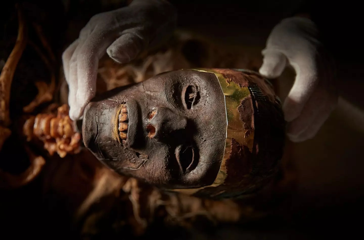 A forensically accurate organic replica of Tutankhamun’s mummy (Kiran Ridley/Getty Images)