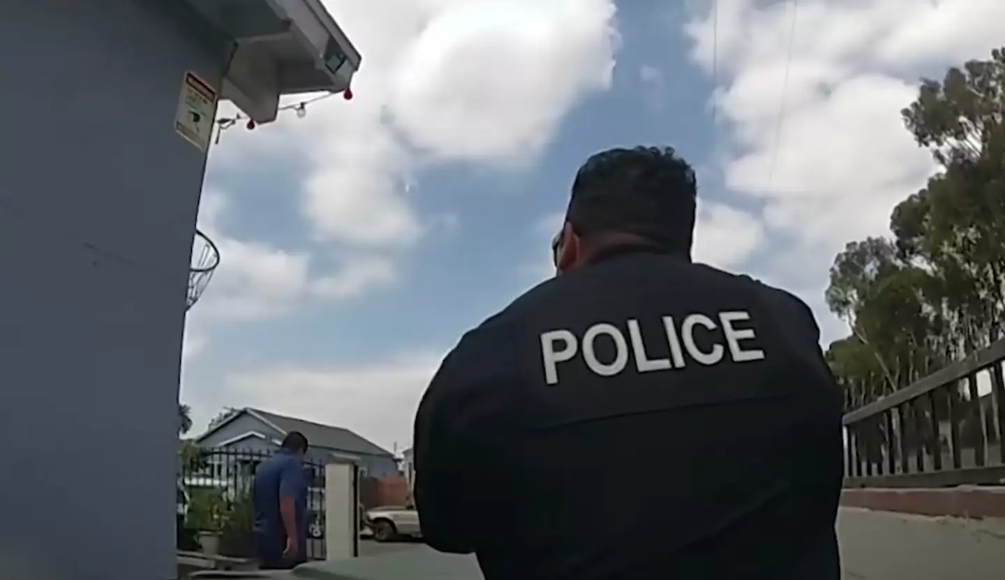 Luis Herrera's dad explained 'it's a toy'.