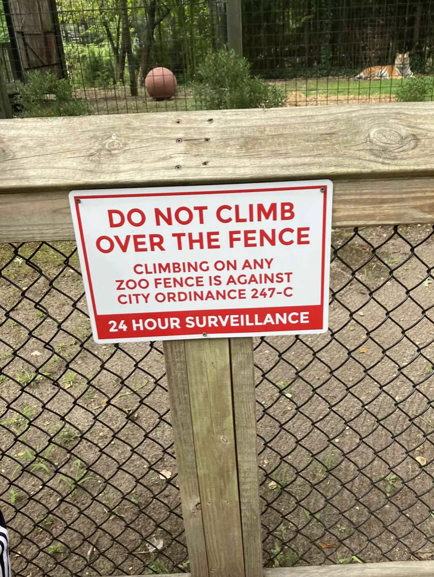 Police are now searching for the woman. (Bridgeton Police Department)