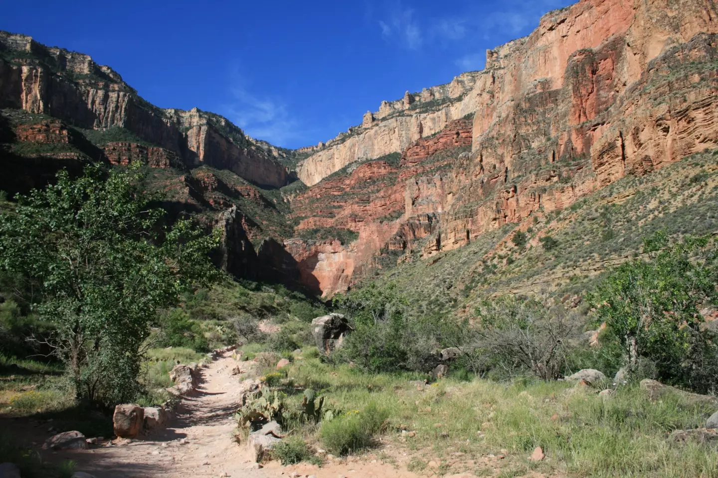 Bright Angel Trail in the Grand Canyon.