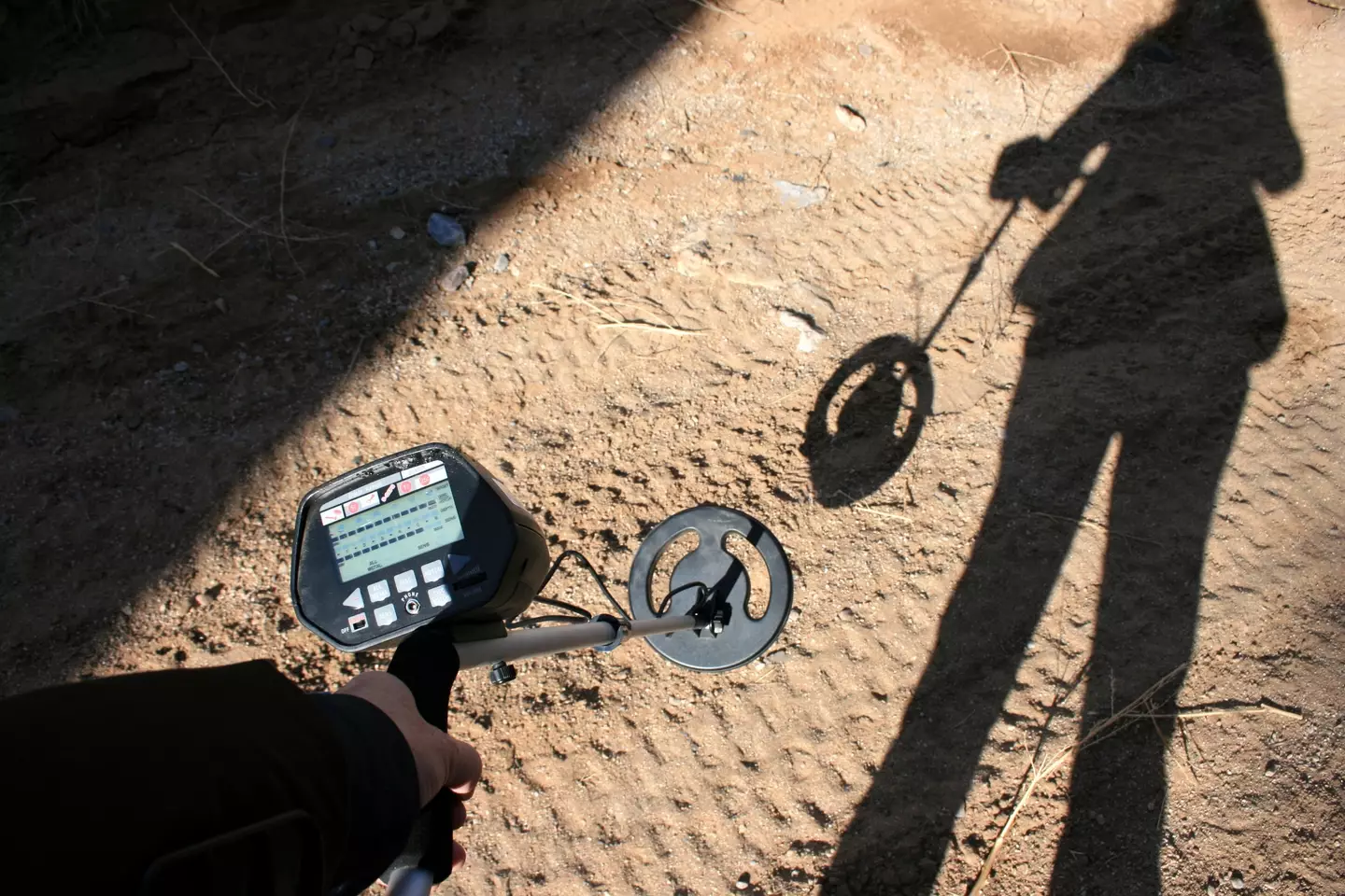 Two metal detectorists struck gold in Herefordshire in 2015.