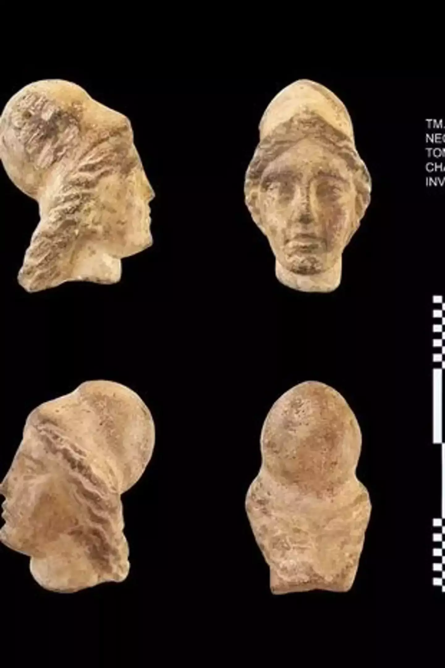 Statues and coins were also discovered at the site.