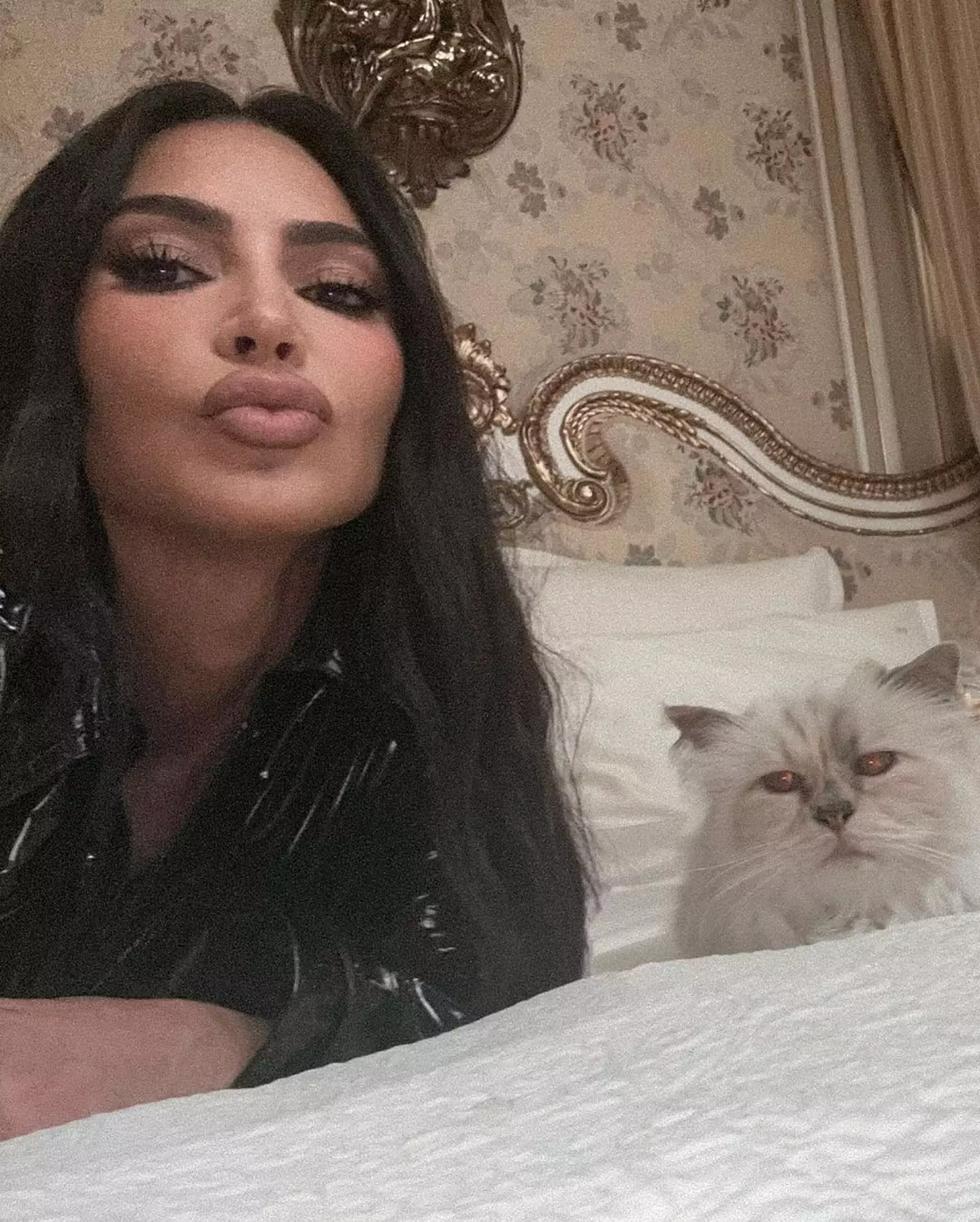 Karl Lagerfeld's cat, Choupette.