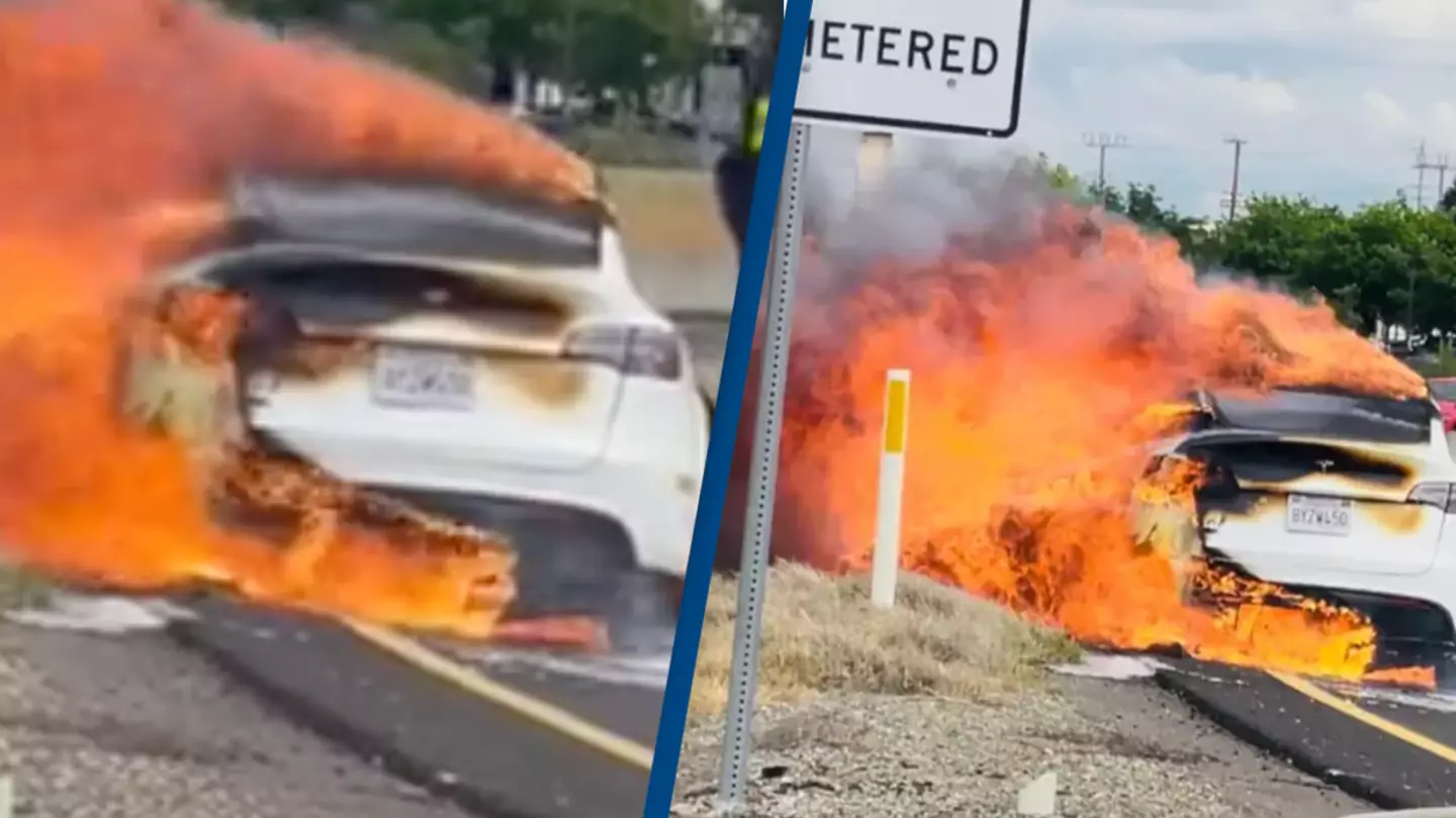Man whose Tesla caught fire on a highway was asked to bring it into the service center