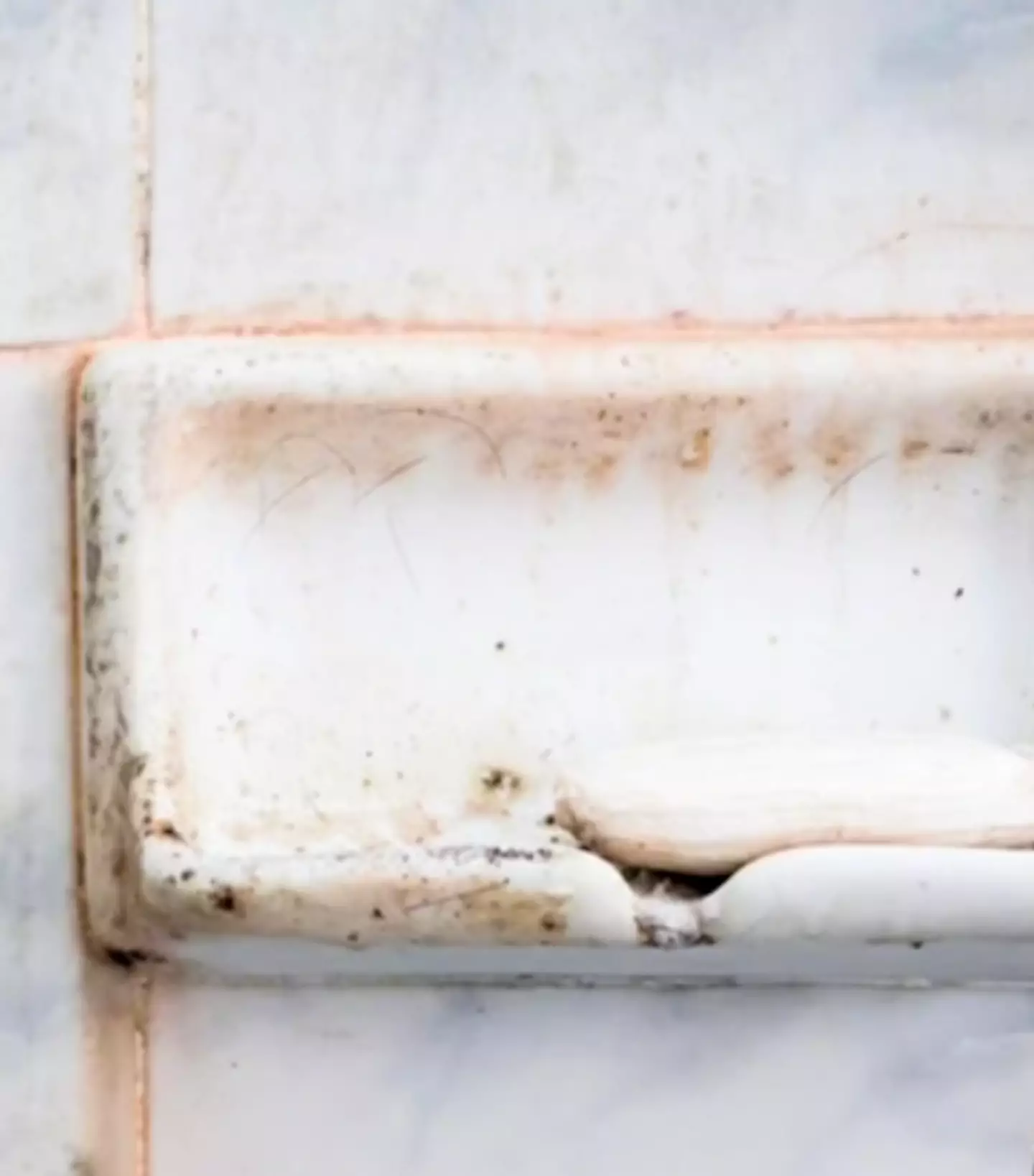 Look familiar? (TikTok/ @dr.karanr)