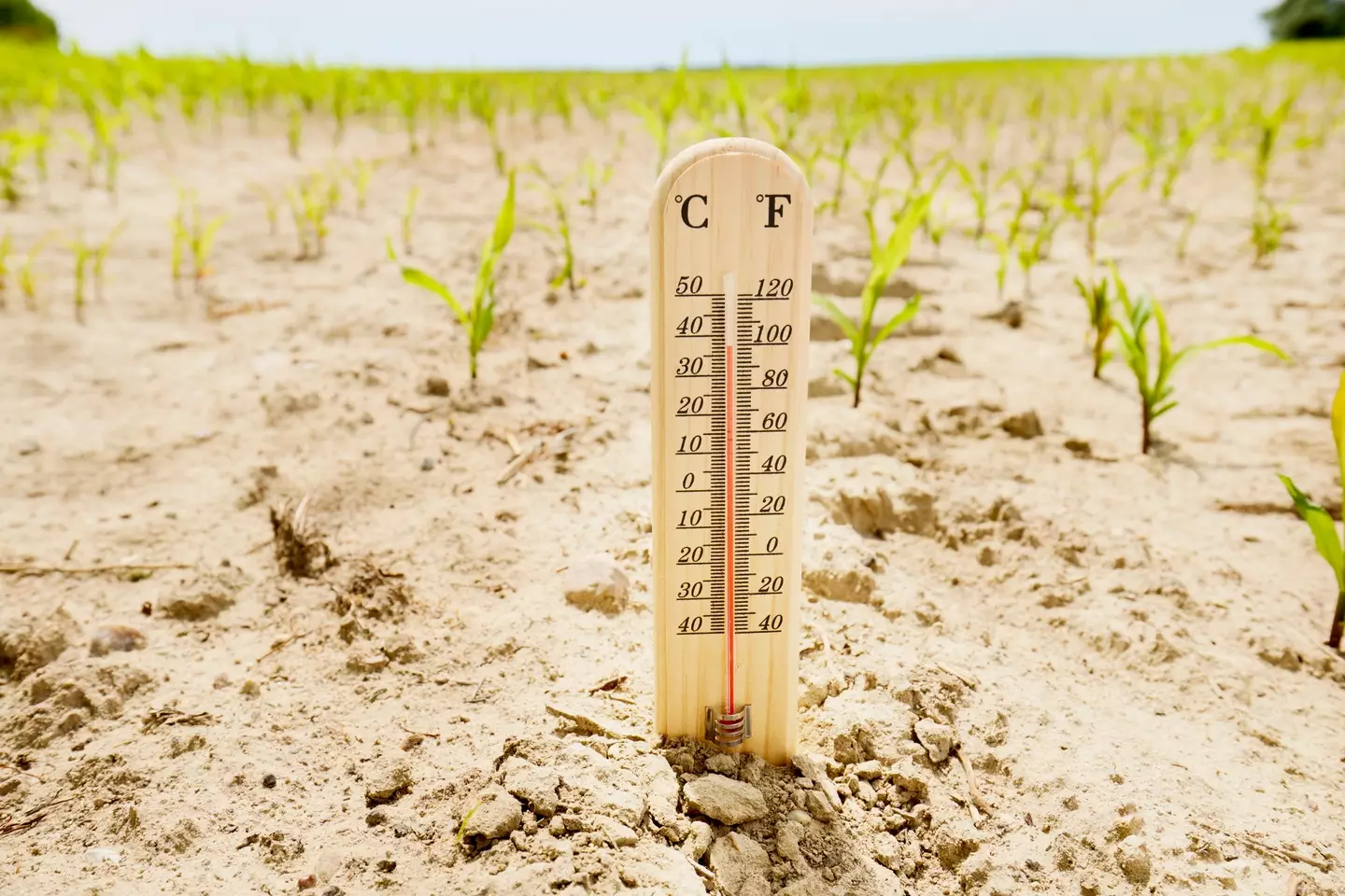 We have a limited amount of time to stop the planet warming more than 1.5°C (Getty Stock)