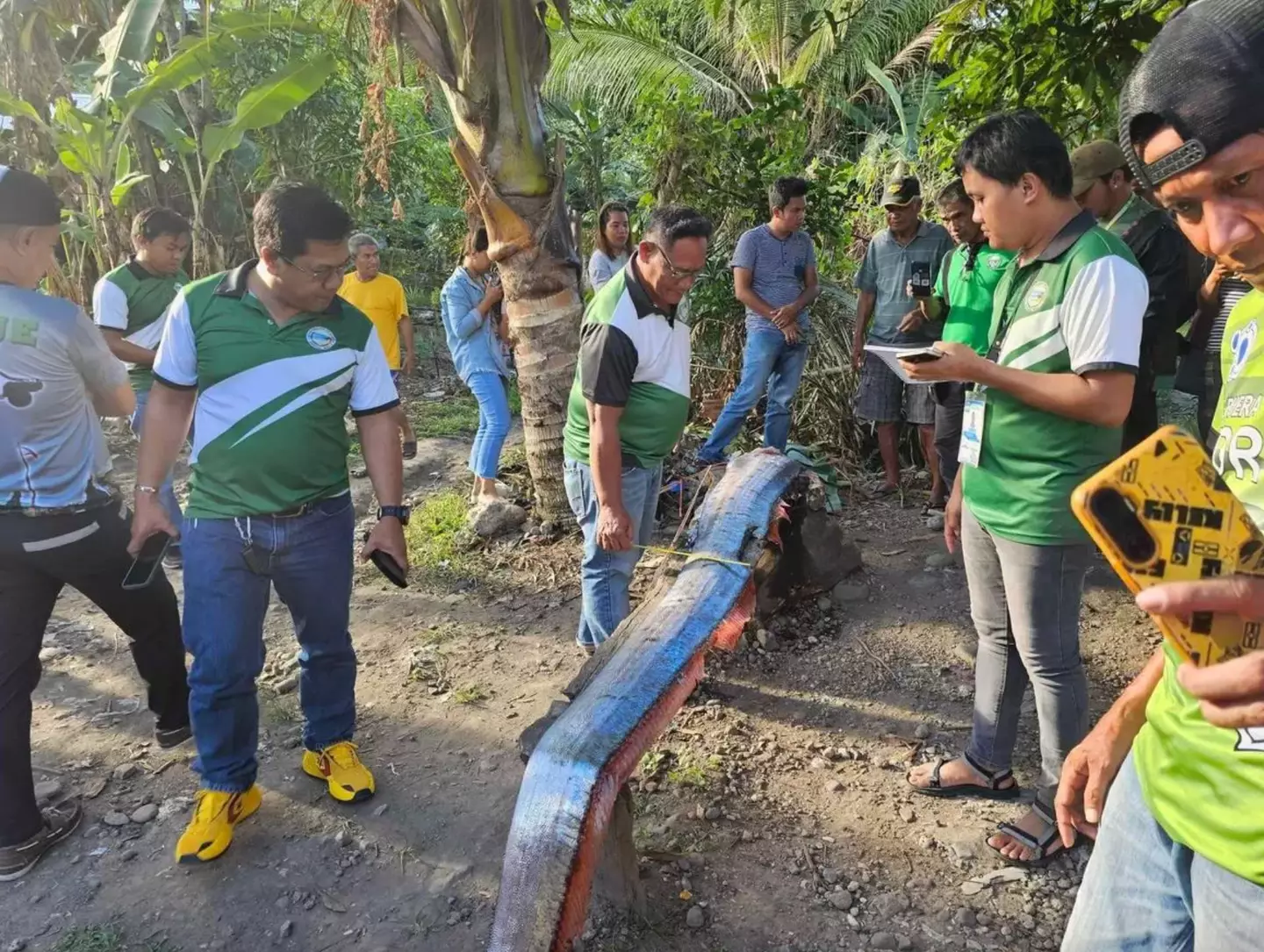 The oarfish was found in the Philippines.