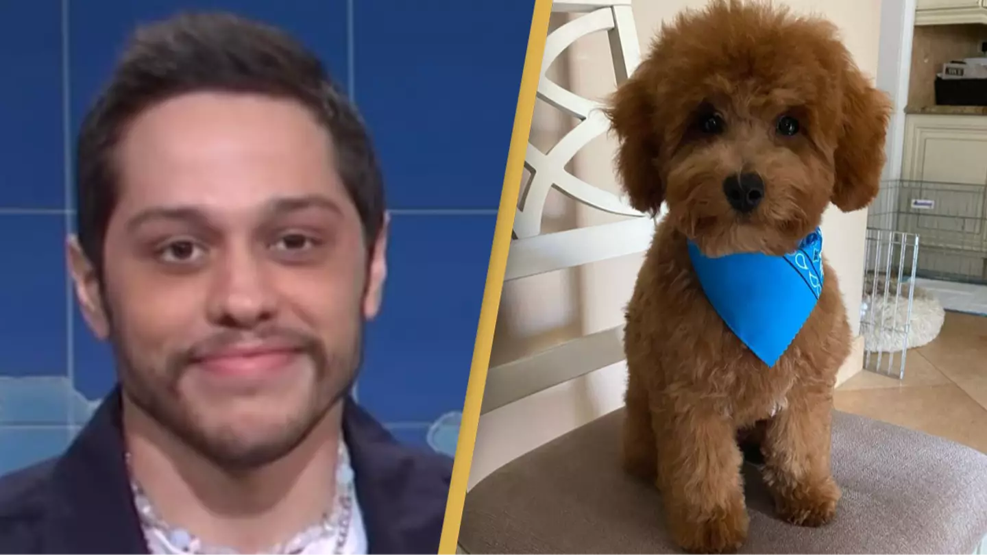Pete Davidson announces his dog has sadly died aged 2
