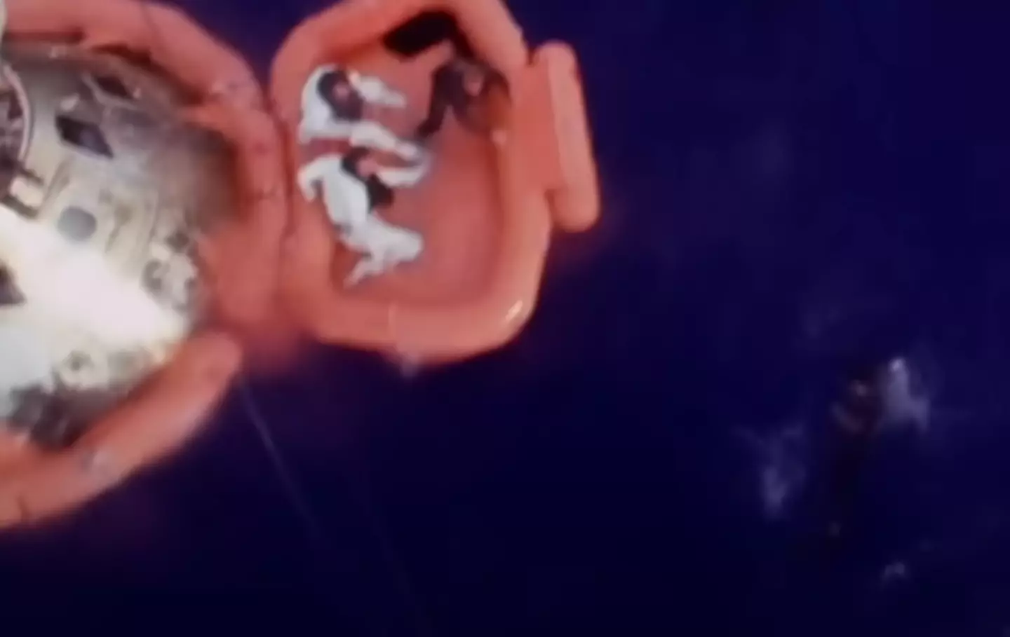 The mission was considered a successful failure. YouTube/NASA