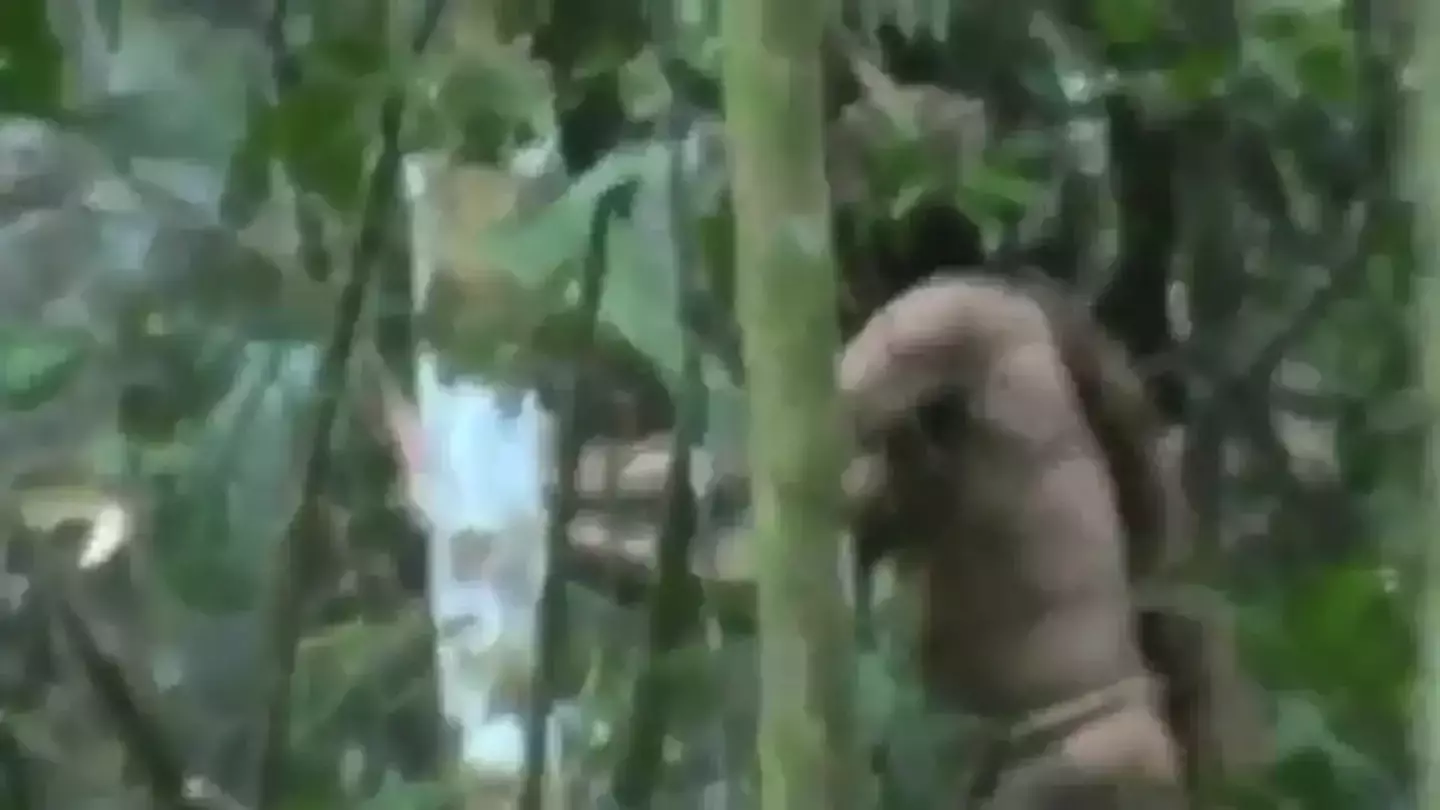 Footage of the man, taken back in 2018, shows him chopping down trees.