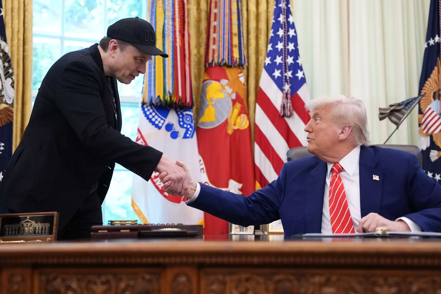 Musk was a key member of the Trump administration (Kevin Dietsch/Getty Images)