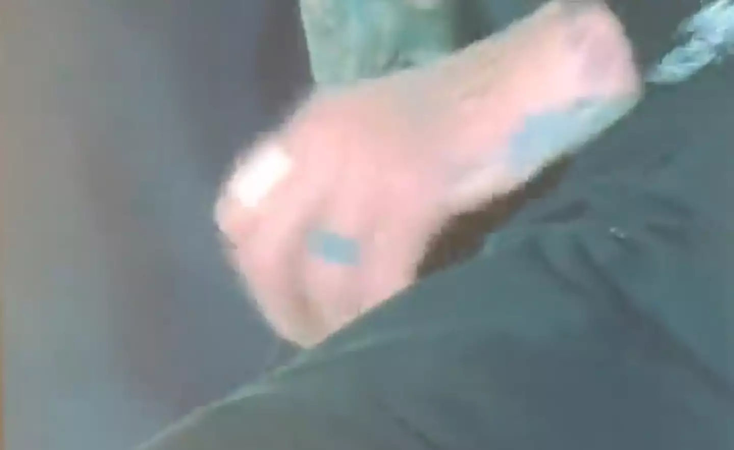 Lee seemed to struggle to get hold of the pup.